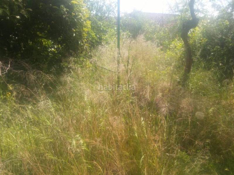 Foto f9c8ff16-5e51-42c2-82b0-22f8cfa4e1e0. Finca rústica solvia inmobiliaria suelo urbanizable en Moclín