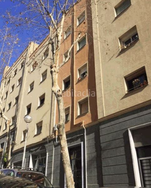 Foto 48610f48-0821-4770-8d86-c45020fd3316. Pis a Turó de la Peira Barcelona