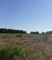 Finca rústica  Pluto. Solvia inmobiliaria  suelo urbanizable lleida