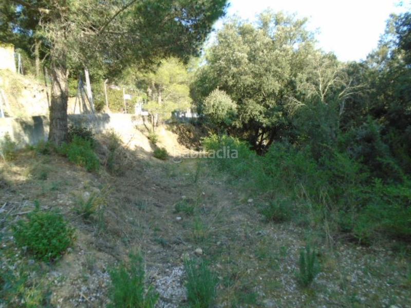 Foto 1f5b569d-8d7e-47cd-b87c-8d4c962f9d1b. Finca rústica a Ametlla del Vallès (L´)