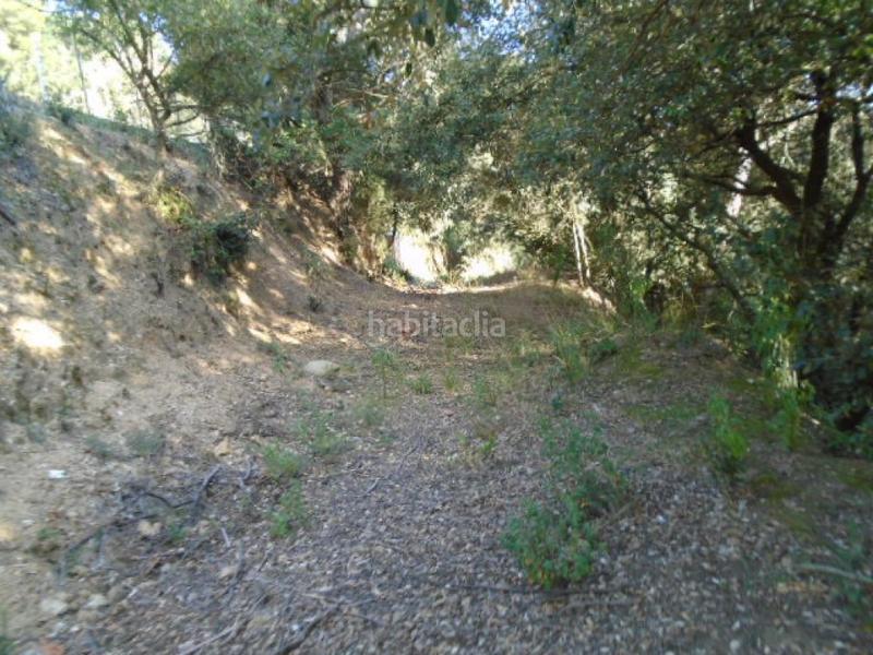 Foto 7205473f-28cc-4c5d-9f02-a6f647303f37. Finca rústica a Ametlla del Vallès (L´)