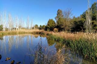 Pis  Jose maria pereda. Solvia inmobiliaria  piso linares