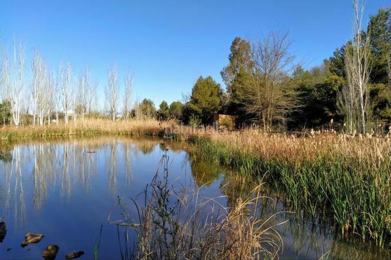 Foto f05a2113-5b8f-49b2-a14f-8c28aa0a4e41. Piso solvia inmobiliaria piso en Arrayanes Linares