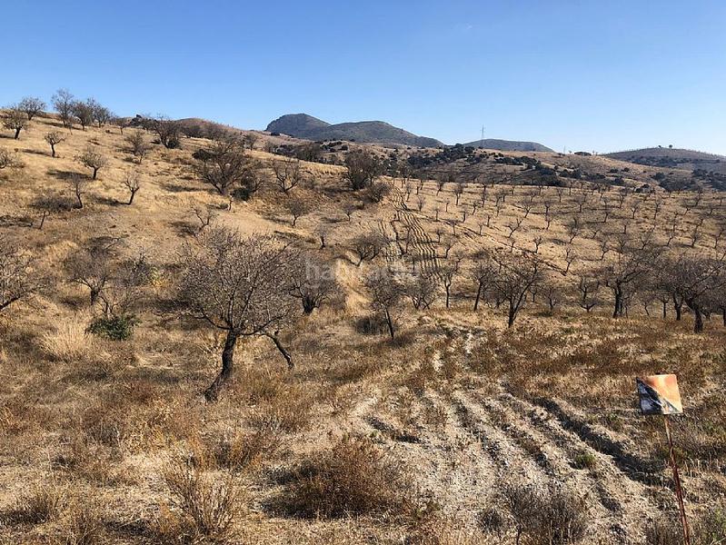 Foto d1c4875e-2a6c-4a63-8bab-f0b1ad429658. Landgut in Huércal - Overa