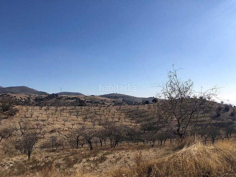 Foto ddd8f883-1c40-4f92-a868-c4df9e9b6f9a. Landgut in Huércal - Overa