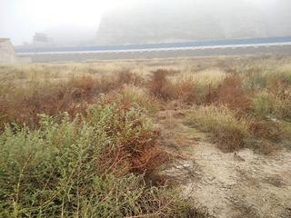 Rural plot  C/ río jalón. Solvia inmobiliaria  suelo urbano alfajarín