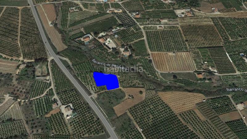 Foto 0d2899ba-e82f-456e-bbf2-4143353e3104. Fondo rustico in El Genovés