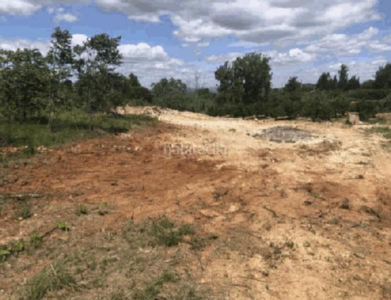 Foto 305a32a4-0967-407b-8636-ae9673cd787e. Fondo rustico in El Genovés