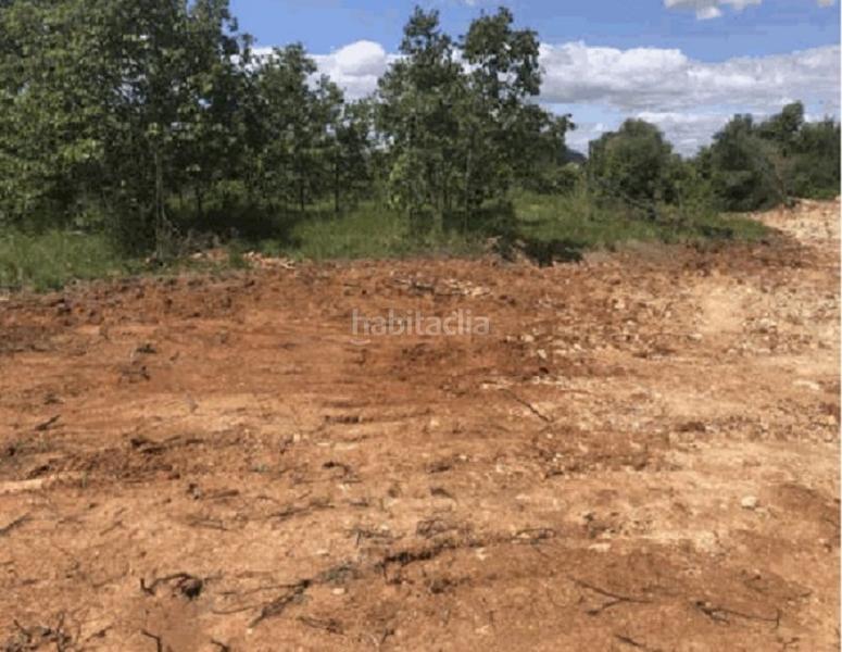 Foto adab6e1c-de05-4498-8fbb-002c17a0d73e. Fondo rustico in El Genovés