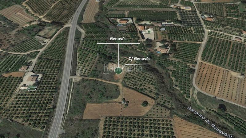 Foto d14f6fed-ba83-488d-afd0-ba9b0d9c9e00. Fondo rustico in El Genovés