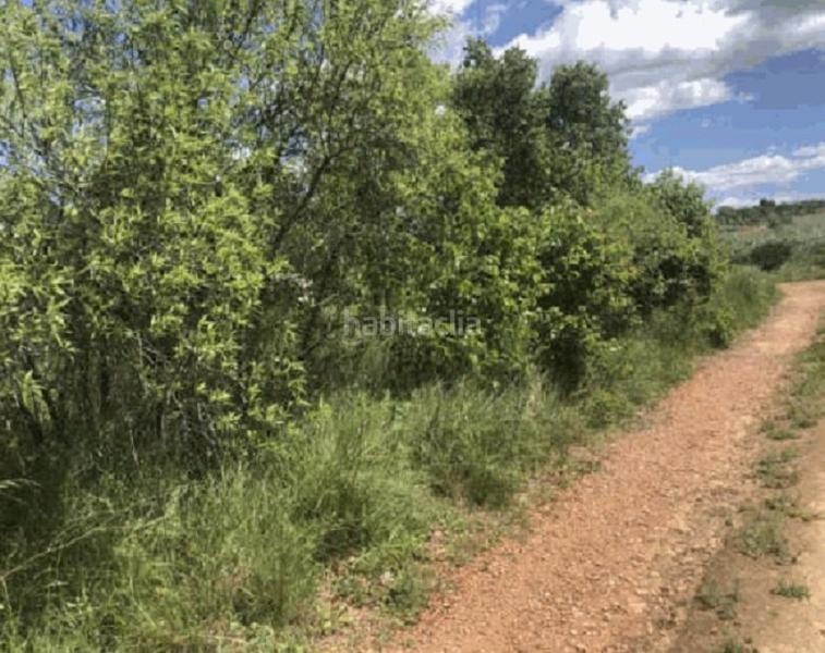 Foto e6062acf-2e5e-4cca-8687-394d5a9fd9b0. Fondo rustico in El Genovés