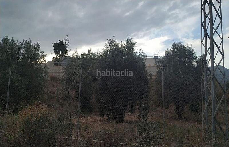 Foto 1ec5def4-6404-45fa-b462-0d50fff30321. Propriété dans Alcanar