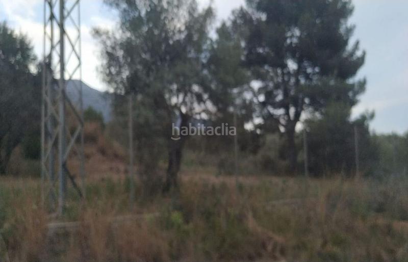 Foto c71013bb-df5a-448a-a206-c3bbd7992949. Propriété dans Alcanar