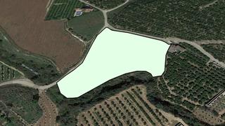 Finca rústica  Lg polígono 7, parcela 75, el pinar carcer. Solvia inmobiliaria  suelo rústico càrcer