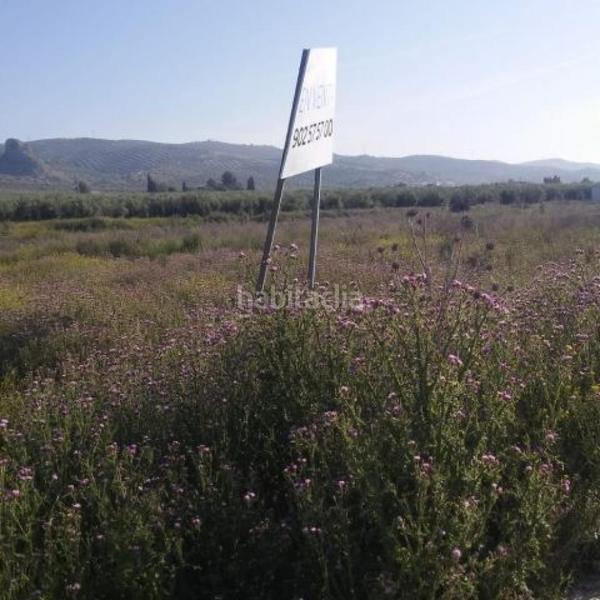 Foto be3f2236-6b3c-4c5d-bd21-776eb2acb240. Finca rústica a Valderrubio