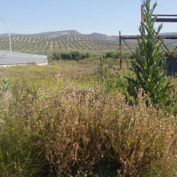 Foto cad8134e-5dff-4172-8609-c2d3ee15a0cd. Finca rústica a Valderrubio