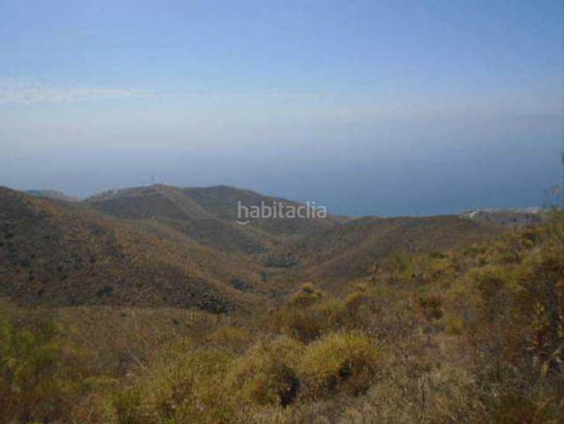 Foto e79aa177-57d5-43a2-8cdf-7524c3cee4bc. Propriété dans El Peñoncillo Torrox