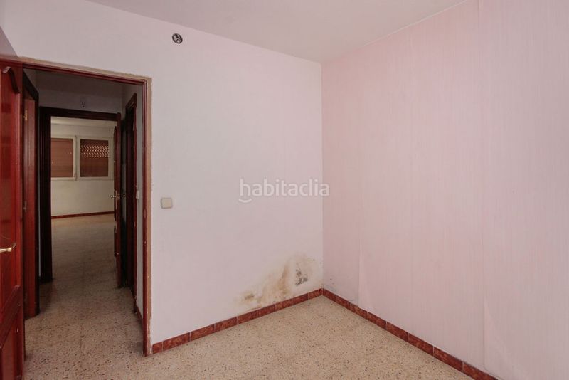 Foto d4a44712-c625-4f71-830d-f9f1b9ca707a. Pis a La Mina Sant Adrià de Besòs