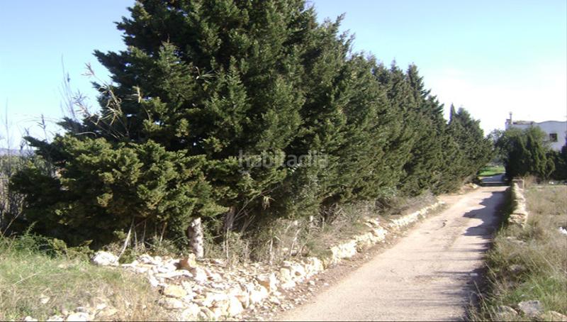 Foto 53c1dc2c-8697-4535-8ac7-83fb7f16eb04. Finca rústica a Babilonia Torredembarra