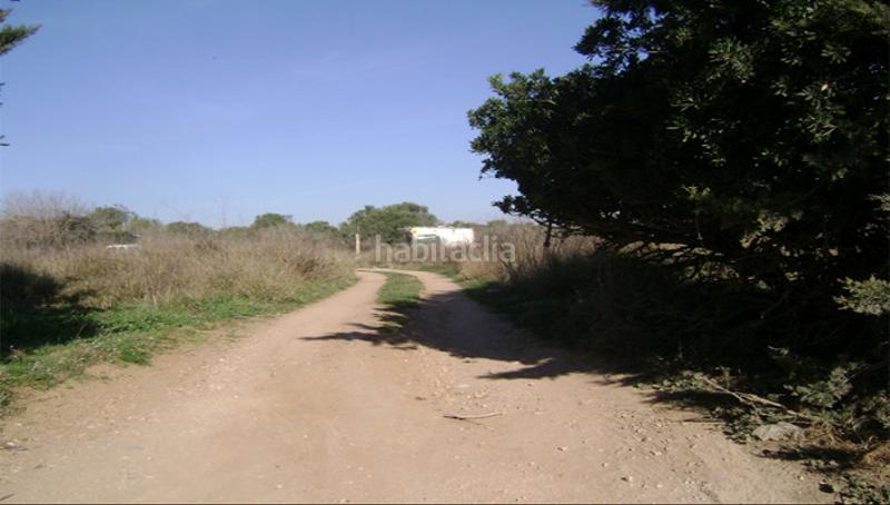 Foto 7a13ee68-73a0-430b-ad3d-f86aa553f7c6. Finca rústica a Babilonia Torredembarra