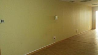 Business premise in CAMELIAS