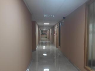 Local Comercial a CAMELIAS