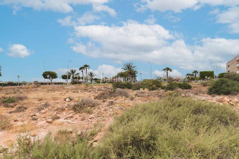 Foto f7efa9e7-a3a1-4b51-80ee-76753cd2f9b4. Finca rústica a Ejido Sur Ejido (El)