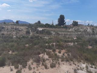 Finca rústica  Baños (los). Solvia inmobiliaria  suelo urbanizable fortuna