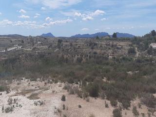 Rural plot  Baños (los). Solvia inmobiliaria  suelo urbanizable fortuna