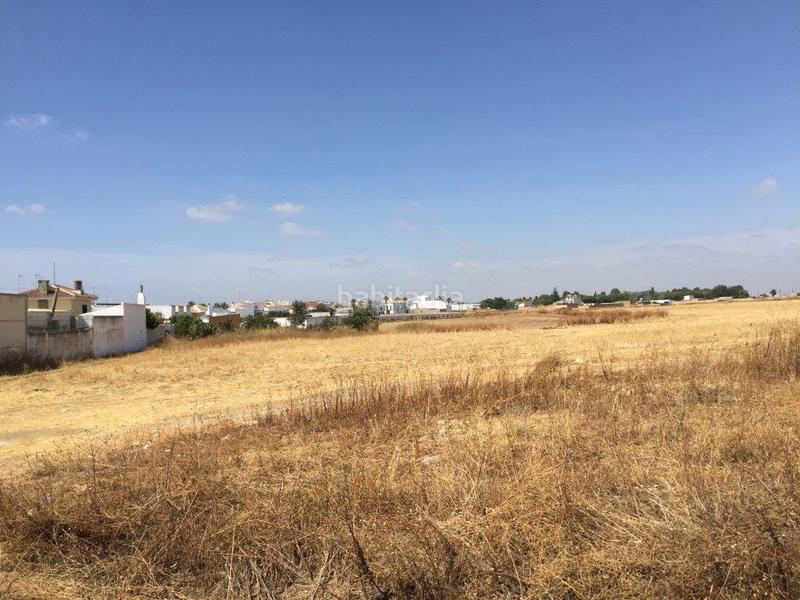 Foto c4680f50-cd3d-41b9-8b1e-ff546365c346. Finca rústica a Almonte Almonte