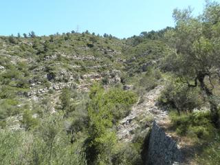 Landgut  Zona disseminat de sant llatzer. Solvia inmobiliaria  suelo rústico tortosa