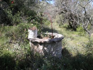 Finca rústica  Zona disseminat de sant llatzer. Solvia inmobiliaria  suelo rústico tortosa