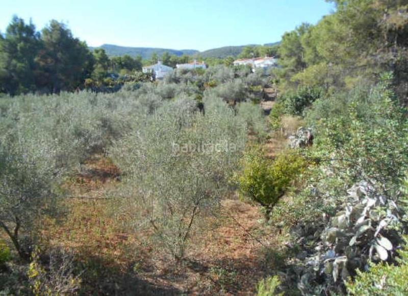 Foto dd8639c4-b545-4aa7-9590-4e25745392a0. Fondo rustico in Algímia de Alfara