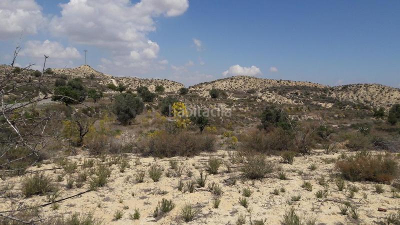 Foto 594c7436-4c73-47be-bf96-cfb7b353513a. Rural plot in Cañadas de San Pedro Murcia