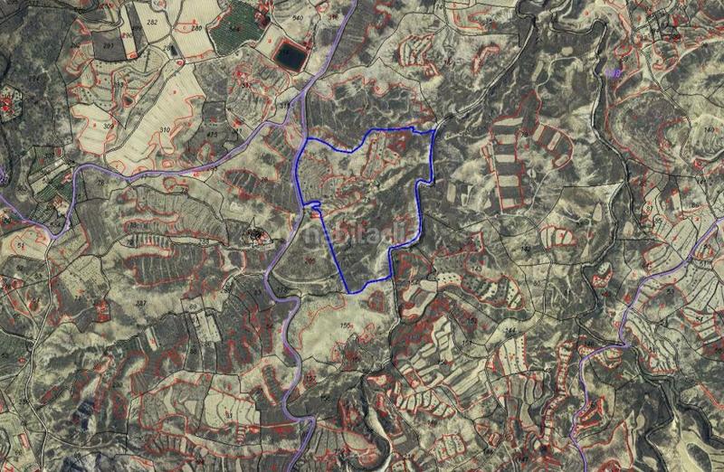 Foto 95977a82-da12-4e82-857c-4e812aef7059. Rural plot in Cañadas de San Pedro Murcia