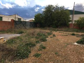 Nau industrial  Cerro molino. Solvia inmobiliaria  nave industrial tresjuncos