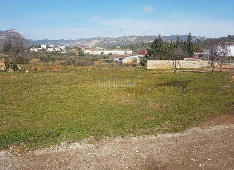 Foto 54444e96-9fac-4ef5-94a9-8ae8c35682c7. Finca rústica solvia inmobiliaria suelo urbanizable sénia la en Sénia (La)