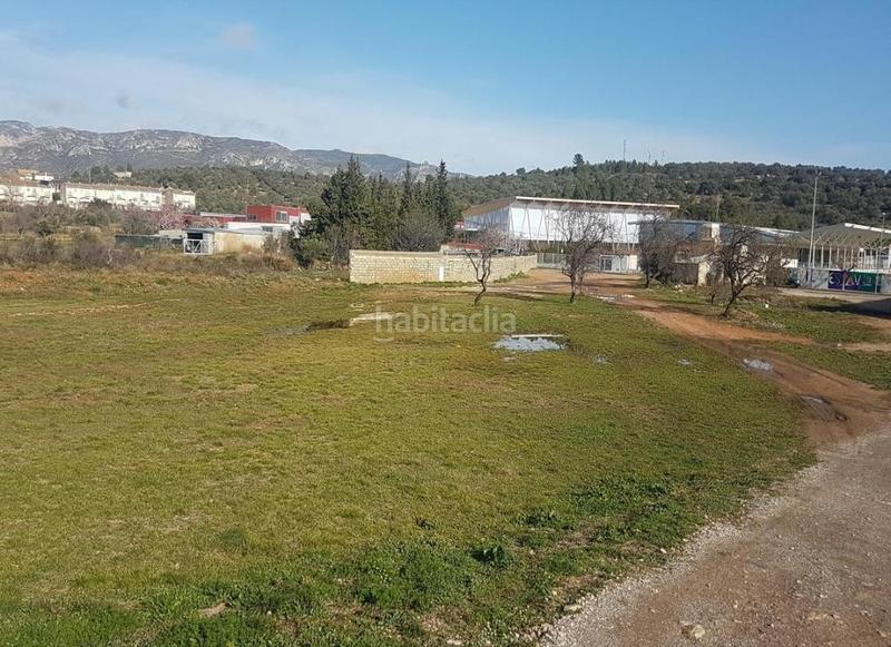 Foto 59481aec-44f7-40c3-b15f-1ab6d20b8e80. Finca rústica solvia inmobiliaria suelo urbanizable sénia la en Sénia (La)