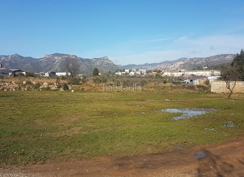 Foto dc85746c-6dfb-428a-bb30-465e263bb92c. Finca rústica solvia inmobiliaria suelo urbanizable sénia la en Sénia (La)