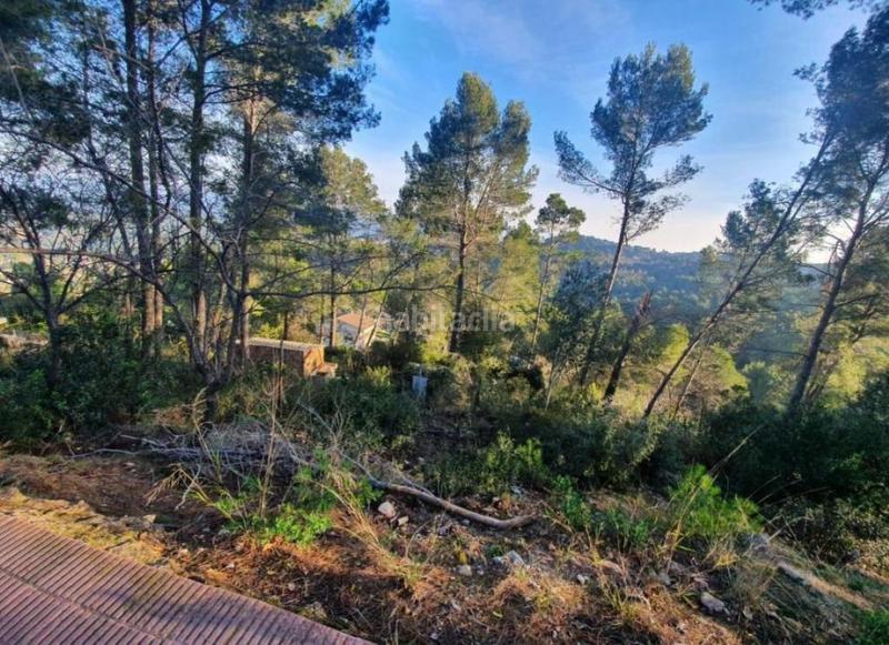 Foto 0aff9fed-de69-413e-af80-d3c7ee37a04d. Finca rústica a Corbera de Llobregat