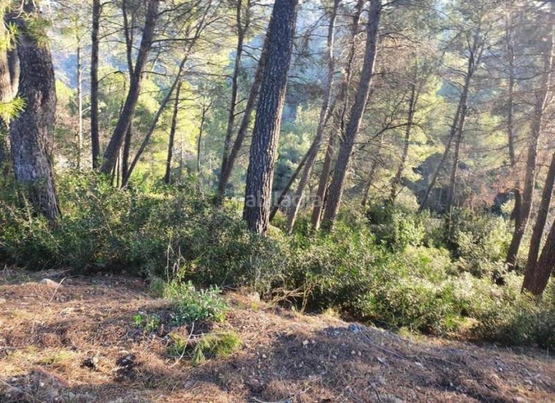 Foto 0ef24a7b-ad47-44ae-8e09-872e6be4231b. Finca rústica a Corbera de Llobregat