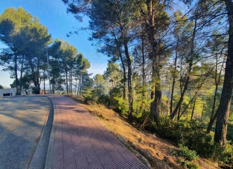 Foto 23130b3a-0b2f-4379-9f10-48344d3d4021. Finca rústica a Corbera de Llobregat