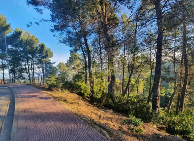 Foto 5adc4bd4-79b1-4190-a0aa-219fb41dea48. Finca rústica a Corbera de Llobregat