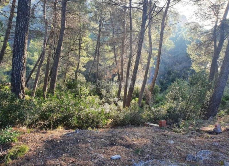 Foto 78bb7189-69ca-46ff-99ca-adb3b6e6ed2e. Finca rústica a Corbera de Llobregat