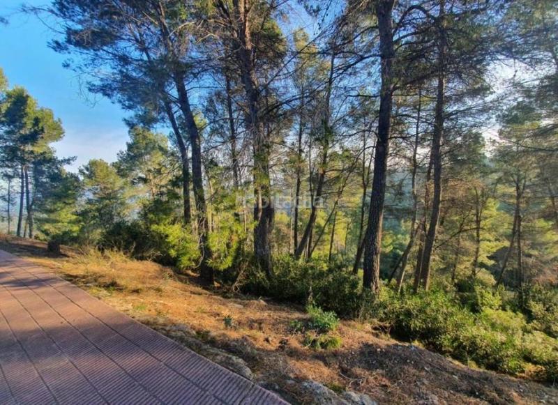 Foto c52aa387-6d6d-48d3-b7a3-fd6d08f88008. Finca rústica a Corbera de Llobregat