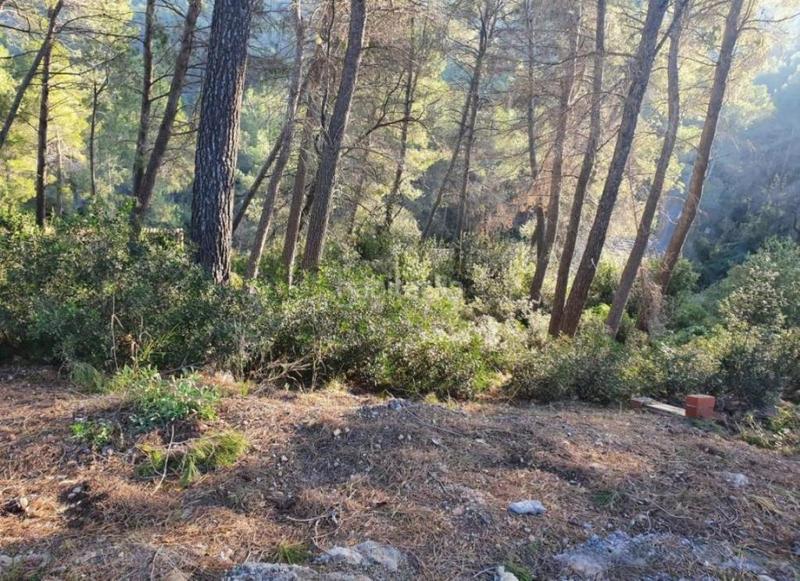 Foto ffdbf60a-f00a-4bff-8d05-f954501ee899. Finca rústica a Corbera de Llobregat