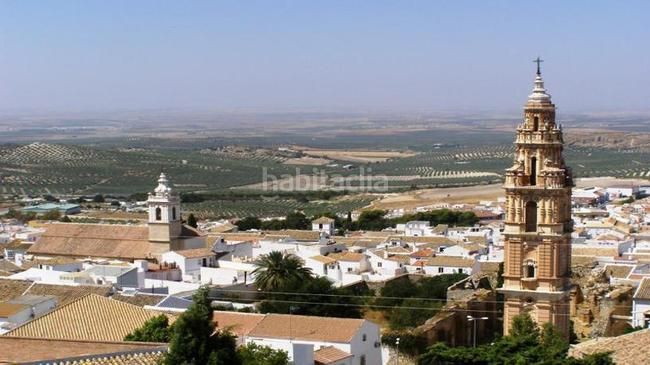 Foto 421b56d3-a1d0-446b-b607-ba2a2d675a69. Pis a Villegas Sevilla