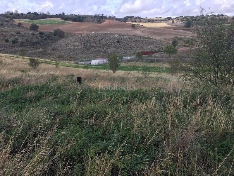 Foto e398c925-844d-49f9-9227-721a5e219789. Finca rústica a Corpa