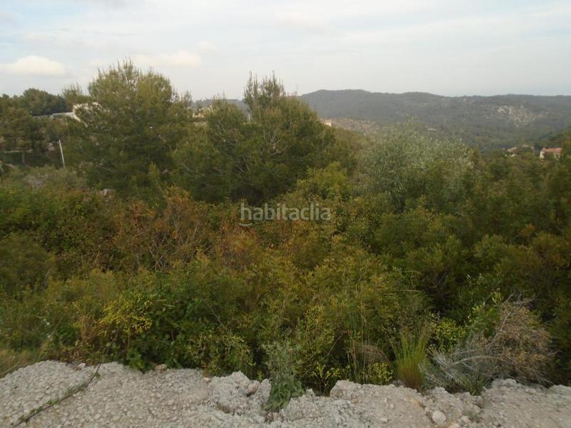 Foto 2b317179-4ca9-41ae-acab-a96fe1464e23. Finca rústica a costa Cunit - els jardins - els rosers Cunit