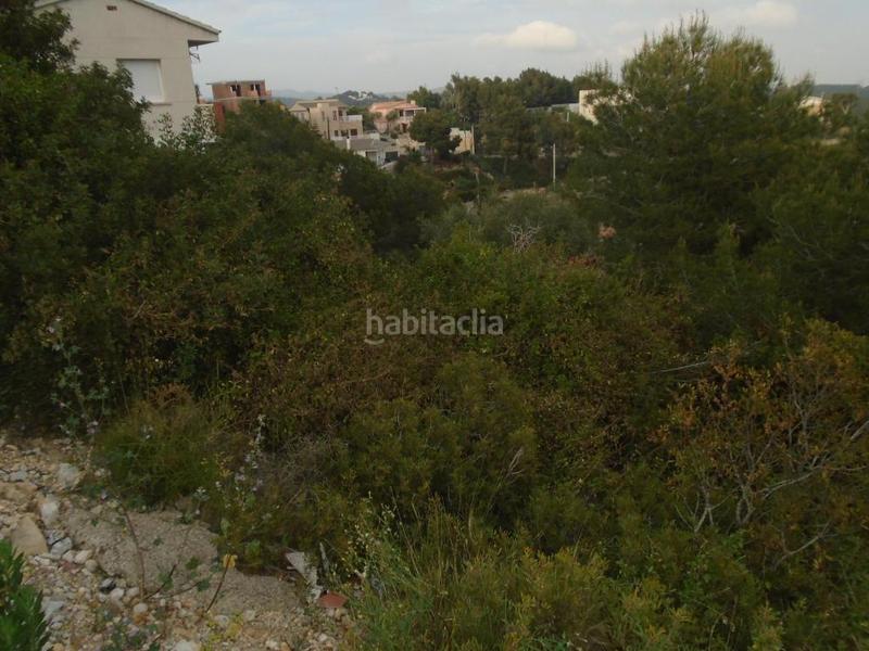 Foto d8104c67-931d-44b1-a54e-a54a369f10a6. Finca rústica a costa Cunit - els jardins - els rosers Cunit